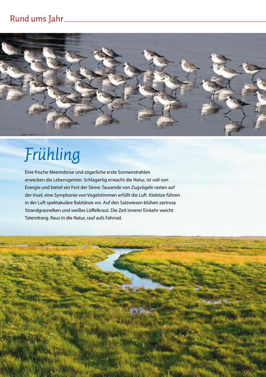 Der Langeoog Prospekt 2014 Von Inselgemeinde Langeoog