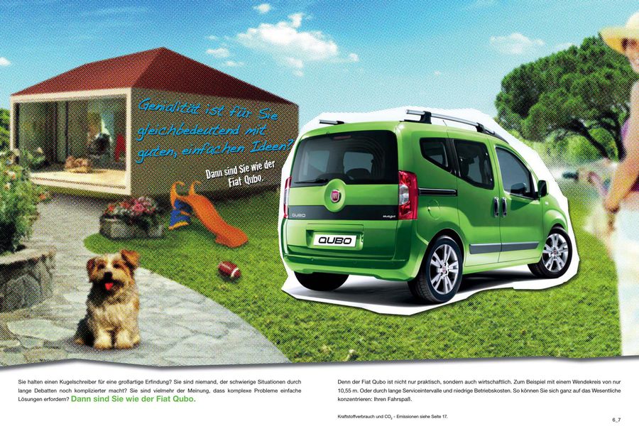 Fiat qubo probleme